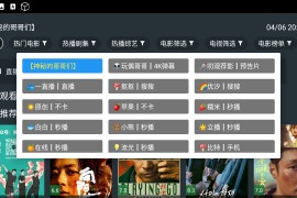 东北TV v8.8.8.8 TV内置版