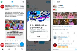 Twitter X v11.6.5 iOS绿化版