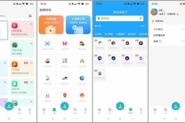 资源大师/资源大师Plus v1.7.7/v1.4.6 安卓绿化版