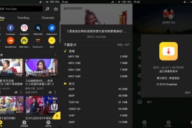 油管下载器Snaptube v7.44.0.74450110 安卓绿化版