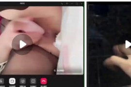 快手  天鹅  付费会议大尺度 全果插比 2V