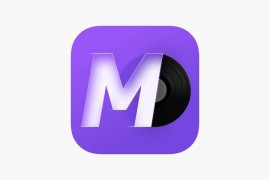 谜底黑胶 v2.5 安卓绿化版