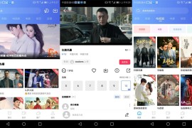大海视频/天空视频 V3.3.3 安卓精简绿化版