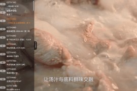 直播大全 v1.4.2 TV版