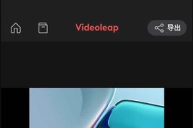Videoleap v2.70.0 iOS绿化版