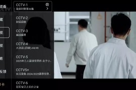 畅享TV v1.1.7 TV去除限制版