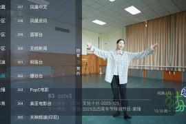 火烈鸟 v2025 TV版