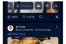 Twitter第三方版，支持推特图片、视频批量下载！