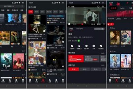 网飞猫 v3.3.7 安卓绿化版-内置你懂的资源