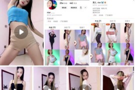 快手  燕儿  nier   裸舞系列 合集62v