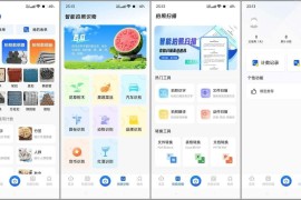 闪电数钢管 V1.1.8 安卓绿化版