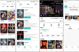 若雪4K v4.3.0 安卓绿化版