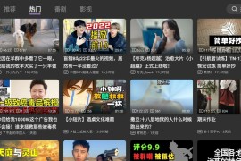 哔哩哔哩第三方BV v0.3.8 TV版