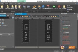 IDM UltraCompare Professional v23.00.0 中文绿色特别版 (Win/Mac)