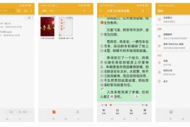 桔子阅读器 v3.9.9(24) 安卓绿化版