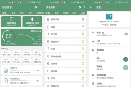 设备信息 v3.0.0.0 安卓绿化版