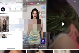 B站  桃桃快发财了  付费会议定制 大尺度 情趣丁字 4V