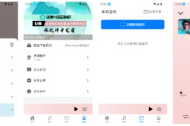 青听音乐 v1.0.8 安卓版+音源配置