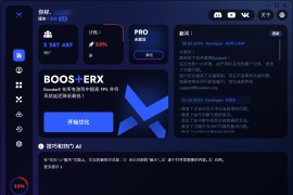 BoosterX – 一款强大的 Windows 系统优化工具