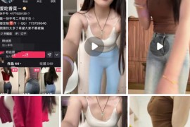 快手 大凤 礼茉   骚舞骚诱合集 露罩半乳