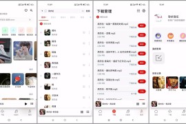 聆听音乐 v1.6.6 安卓绿化版