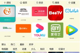 油桃TV(web) v20250706 TV版