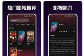 小狐狸 v1.0.0 安卓绿化版