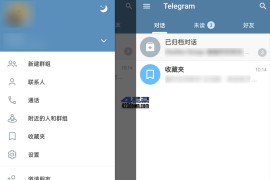 Telegram v10.10.1 安卓绿化版