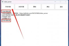 video server_v1.0.2，视频号下载工具，一直被封杀但从未被打败！
