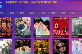 Player v6.1.0 TV多仓版