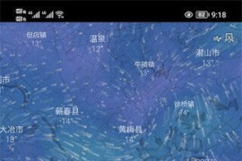 Windy小工具 v47.1.3 安卓绿化版