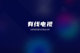 有线电视 v1.27.5 TV版-有地区限制