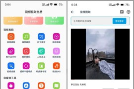 视频提取免费 v33 安卓绿化版