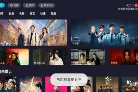 橘汁 v3.0.1.6 TV绿化版