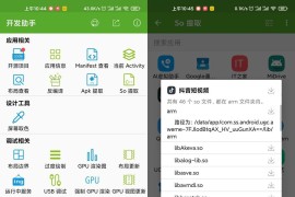 开发助手 v9.1.0 安卓绿化版