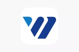 随风影视 伪装上架 iOS版